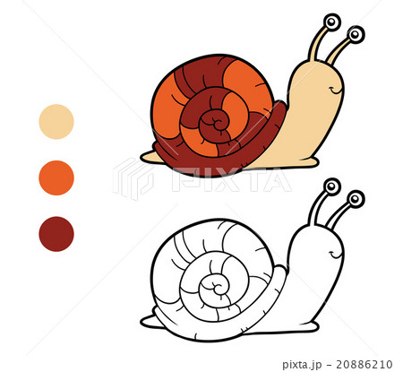 Coloring book, coloring page (snail) 20886210