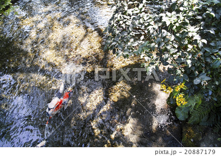 島原 湧水庭園 四明荘 島原 湧水庭園 四明荘 20887179