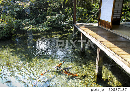 島原 湧水庭園 四明荘 島原 湧水庭園 四明荘 20887187