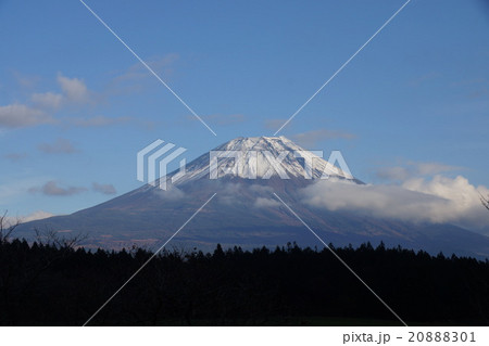 富士山 20888301