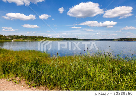 Summer landscape with lake on a sunny day 20889260