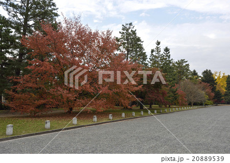 京都御苑 京都御苑 20889539