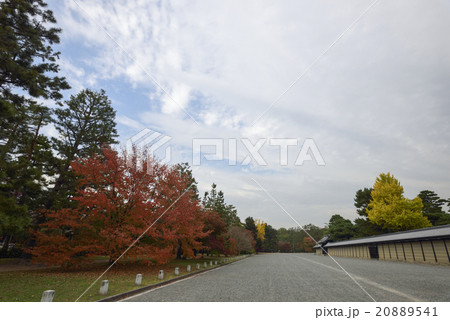 京都御苑 京都御苑 20889541