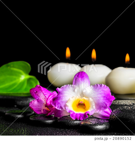 spa concept of row white candles, orchid flower 20890152
