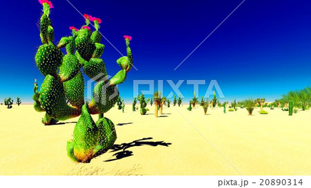 American desert 20890314