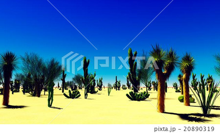American desert 20890319