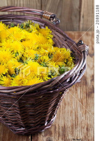 Dandelions in a basket Dandelions in a basket 20891188