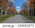 Columbia University 20892873