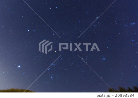 冬の一等星達 20893534