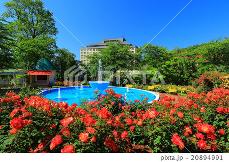 花巻温泉　バラ園 20894991