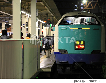 新潟駅 485系快速くびき野 R編成 20894996