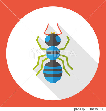 insect bug flat icon 20898094