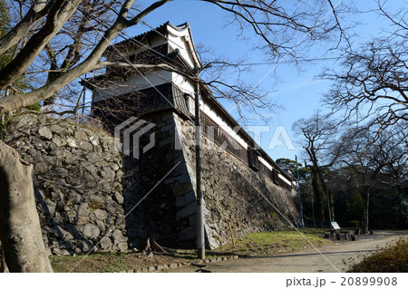 福岡城　北隅櫓と多門櫓 20899908