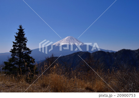 大石峠からの富士山 20900753