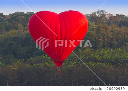 Hot air balloon colourful in the garden Hot air balloon colourful in the garden 20900939