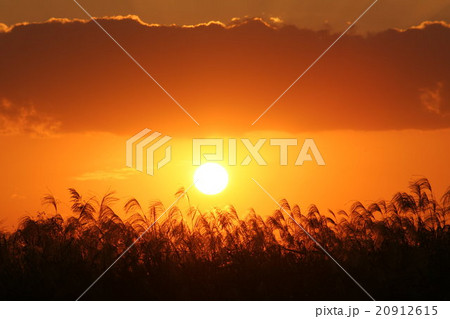 夕日と太陽 その3。 Sunset, the sun 20912615