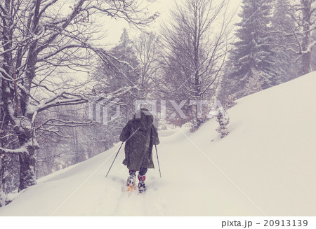 Winter hike 20913139