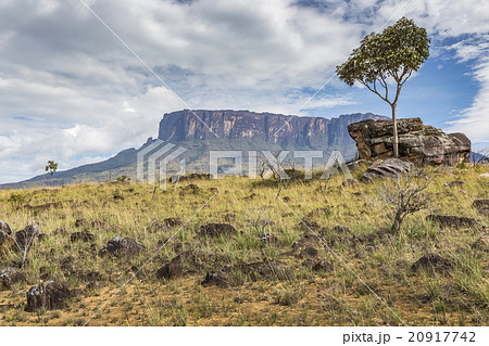 Tablemountain Roraima with clouds, Venezuela, Tablemountain Roraima with clouds, Venezuela, 20917742