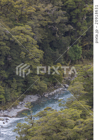 The Chasm (Fiordland, South Island, New Zealand) The Chasm (Fiordland, South Island, New Zealand) 20918631