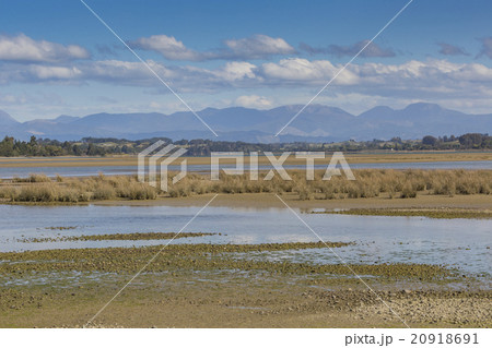 Motueka landscape near Abel Tasman National Park 20918691