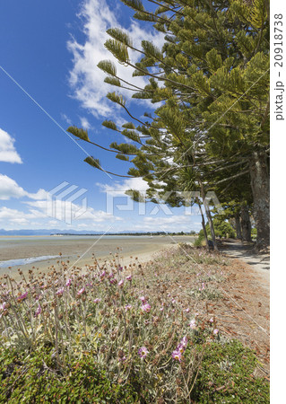 Calm seas of the Abel Tasman National Park Calm seas of the Abel Tasman National Park 20918738