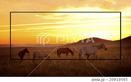 Frame Copy Space Square Border Rectangle Concept Frame Copy Space Square Border Rectangle Concept 20919565