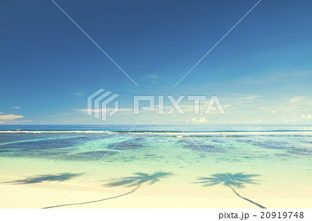 Summer Beach Tropical Paradise Seascape Concept 20919748