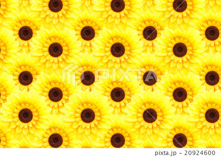 Artificial sunflower background Artificial sunflower background 20924600
