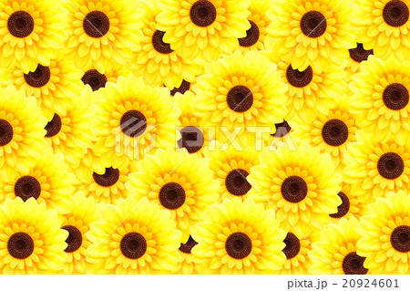 Artificial sunflower background 20924601