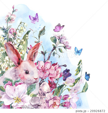 Watercolor spring greeting card white bunny 20926872