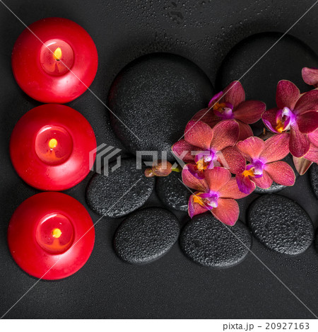 top down spa setting of blooming twig red orchid 20927163