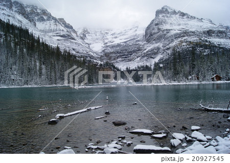 レイクオハラ 20927545