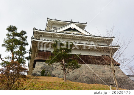 初冬の上山城 20929479