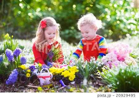 Kids planting flowers in blooming garden Kids planting flowers in blooming garden 20929495