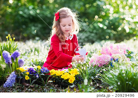 Little girl gardening Little girl gardening 20929496