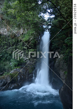 河津七滝の釜滝 20929558
