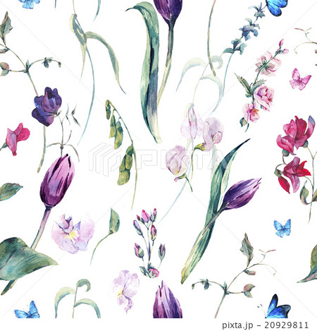 Watercolor Seamless Background with Sweet Peas 20929811