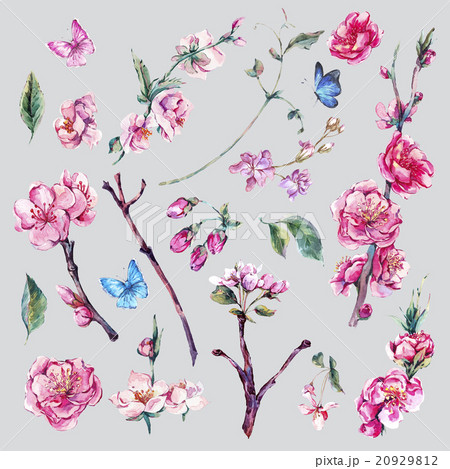 Set of watercolor Spring Nature elements 20929812