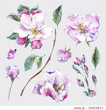 Set of watercolor Spring Nature elements 20929813