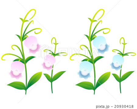 ランプの花 20930418