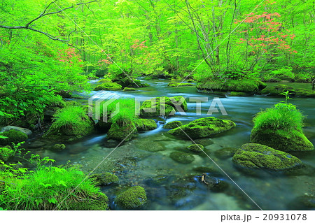 奥入瀬渓流　三乱の流れ 20931078