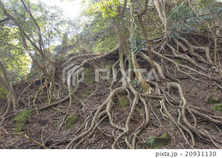 国東半島の文殊仙寺 国東半島の文殊仙寺 20931130