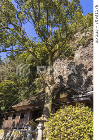 国東半島の鬼会の里 20931176