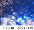 青の背景の桜　地模様無し 20931339