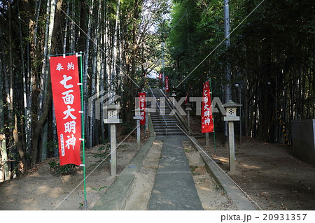 京都　宝塔寺　七面宮への参道 20931357