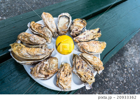 A dozen oysters on a plastic plate 20933362