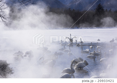 厳冬期の屈斜路湖畔 厳冬期の屈斜路湖畔 20933421