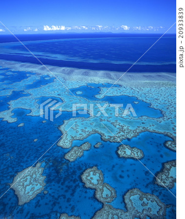 グレートバリアリーフ オーストラリア グレートバリアリーフ オーストラリア 20933839