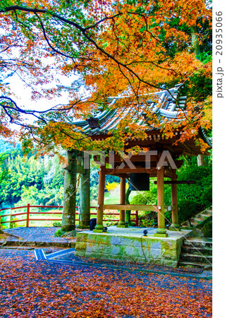 大興善寺の紅葉 大興善寺の紅葉 20935066