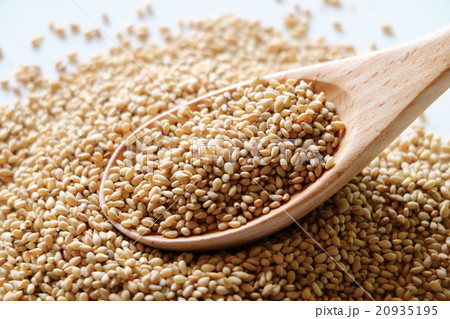 白胡麻 白胡麻 20935195